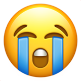 loudly crying face 1f62d