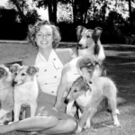 Farewell to a Motherly Icon: June Lockhart Dies at Age 100 3 درگذشت جـون لوکارت