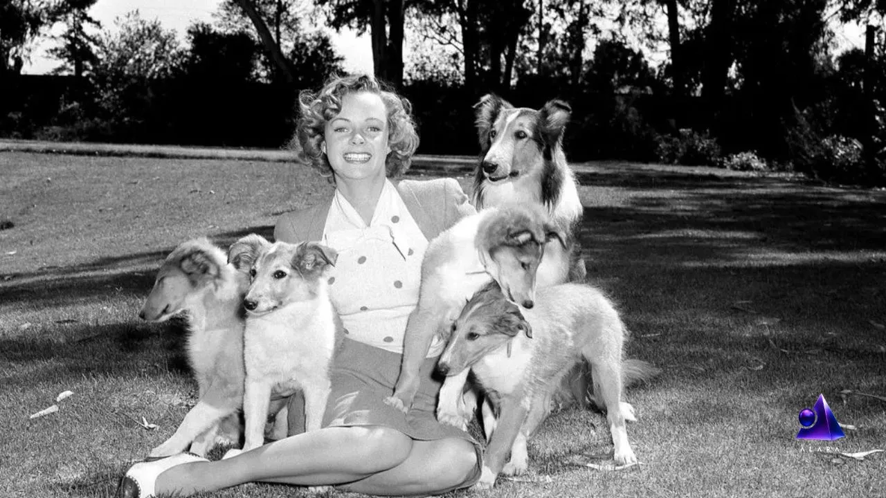 Farewell to a Motherly Icon: June Lockhart Dies at Age 100 1 درگذشت جـون لوکارت